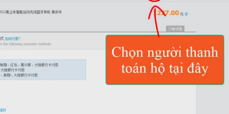 Chọn thanh toán trực tiếp qua ví Alipay hoặc chọn người thanh toán hộ. Nếu chọn người thanh toán hộ, cần nhập mã ID QQ và mã captcha rồi nhấn gửi.